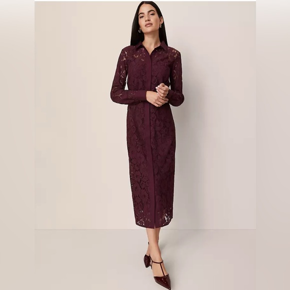 Ann Taylor Dresses & Skirts - Ann Taylor Deep Burgundy Lace Long Sleeve Dress